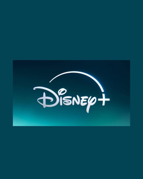 Disney Plus 1 mois + vpn offert