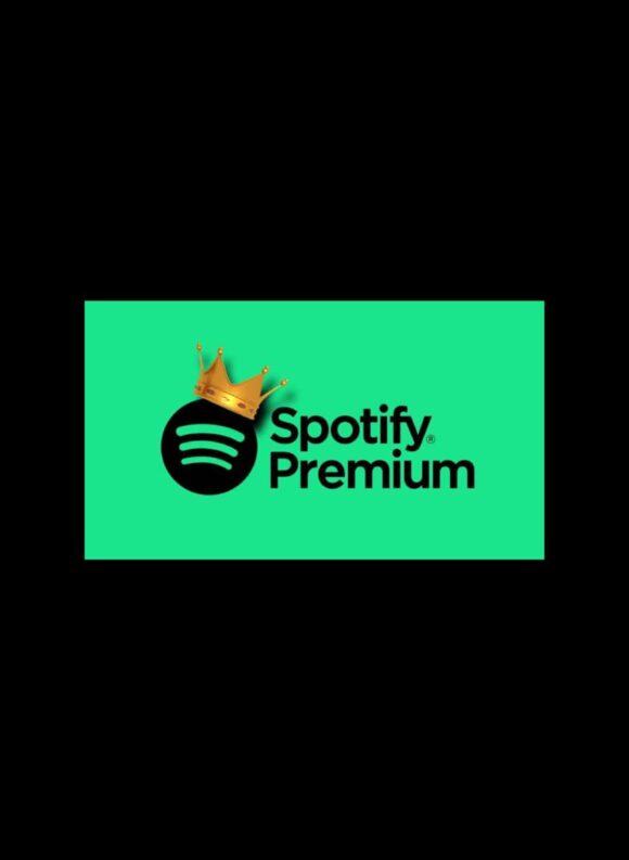 spotify premium 6 mois